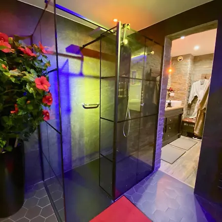 High Standing! 200m2 Private Garden Jacuzzi Sun Bed&interior * Antibes